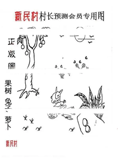 26007期: 老村长福彩3D天天图谜