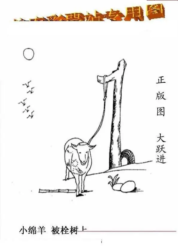 25229期: 老村长福彩3D天天图谜