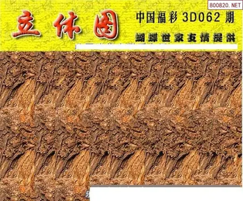 26062期: 3D蝴蝶世家蝴蝶彩图