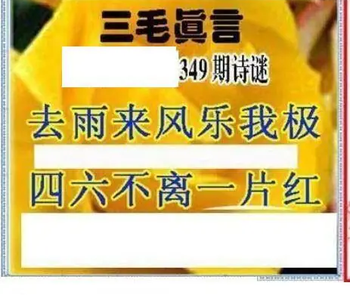 25349期: 三毛3D精品图谜