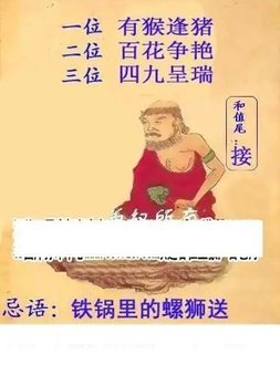 26066期: 白老3D杀码图版