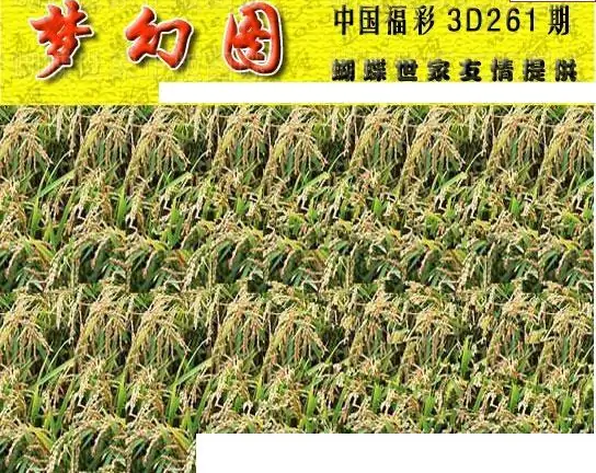 25261期: 3D蝴蝶世家蝴蝶彩图