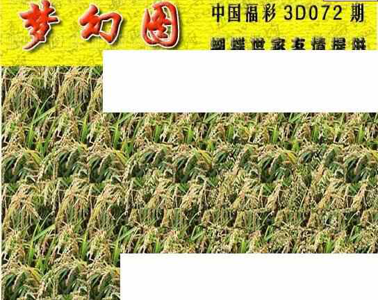 24072期: 3D蝴蝶世家蝴蝶彩图