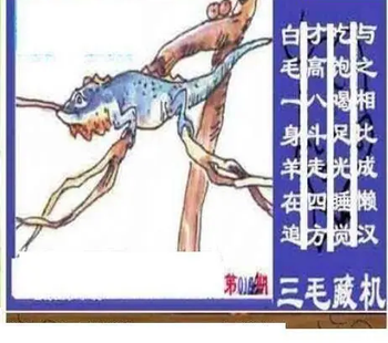 26019期: 三毛3D精品图谜