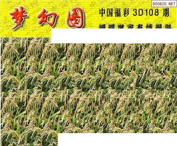 26108期: 3D蝴蝶世家蝴蝶彩图