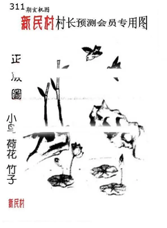 25311期: 老村长福彩3D天天图谜