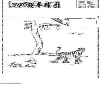 25349期: 三毛3D精品图谜