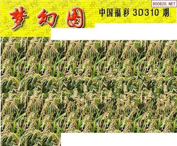 25310期: 3D蝴蝶世家蝴蝶彩图