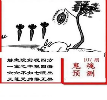 26107期: 三毛3D精品图谜