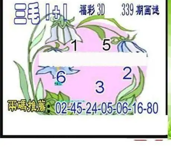 25339期: 三毛3D精品图谜