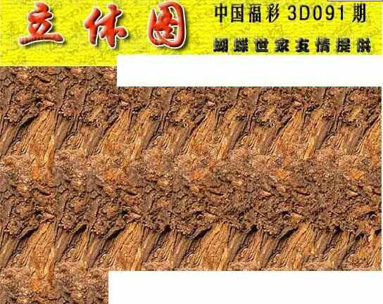 24091期: 3D蝴蝶世家蝴蝶彩图