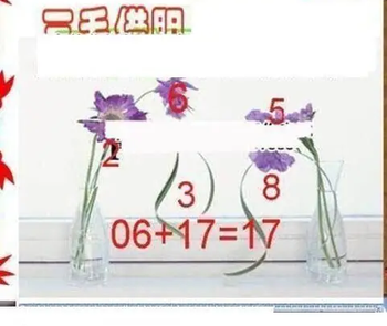 26080期: 三毛3D精品图谜