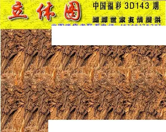 25143期: 3D蝴蝶世家蝴蝶彩图