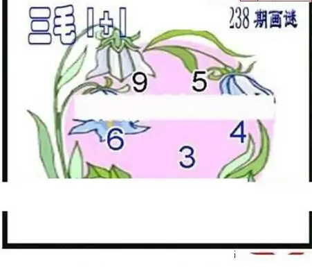 25238期: 三毛3D精品图谜