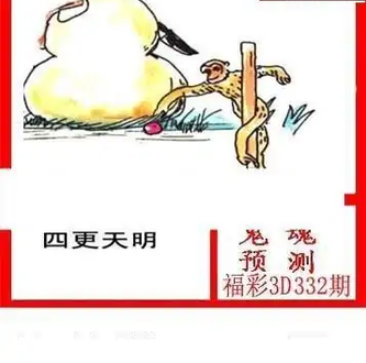 25332期: 白老3D杀码图版