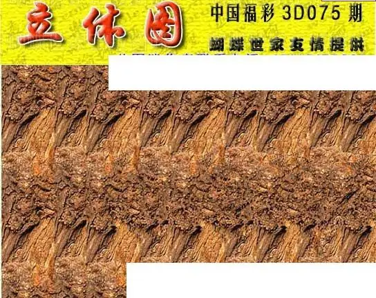 25075期: 3D蝴蝶世家蝴蝶彩图