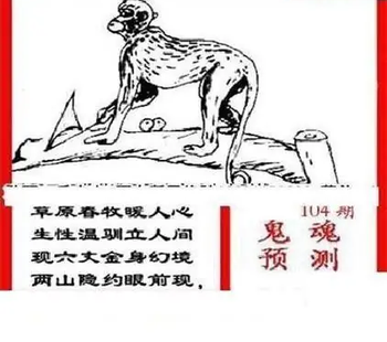 26104期: 三毛3D精品图谜