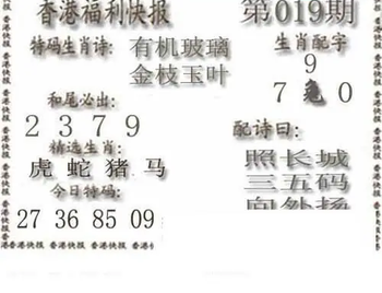 26019期: 白老3D杀码图版