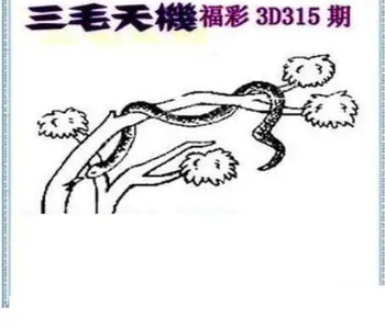 25315期: 三毛3D精品图谜