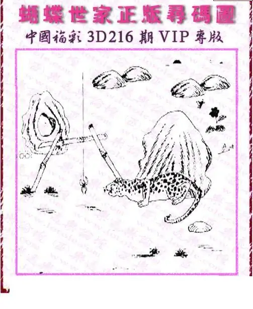 25216期: 3D蝴蝶世家蝴蝶彩图