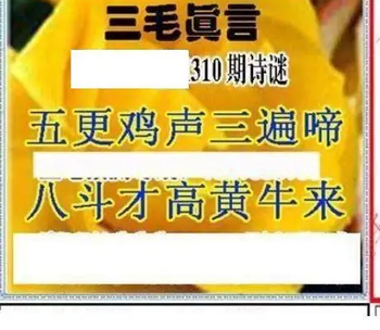 25310期: 三毛3D精品图谜