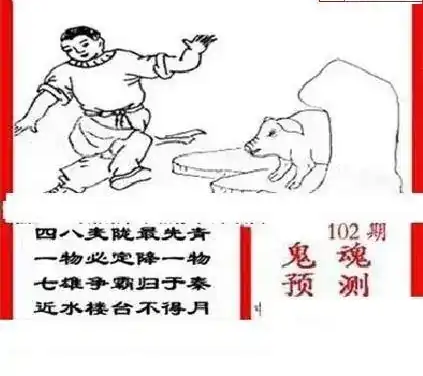 25102期: 三毛3D精品图谜