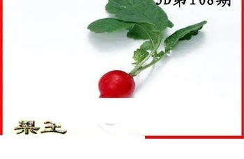 26108期: 白老3D杀码图版