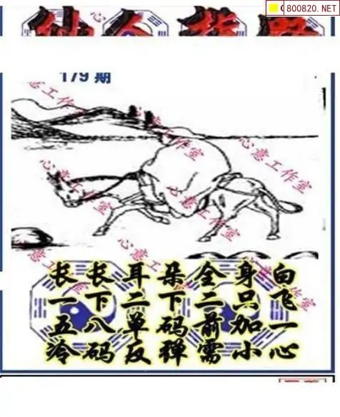 25179期: 三毛3D精品图谜