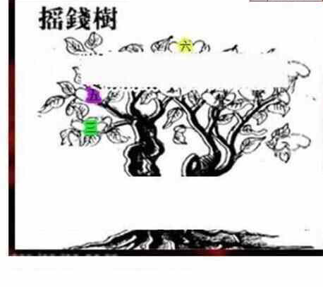 24099期: 三毛3D精品图谜