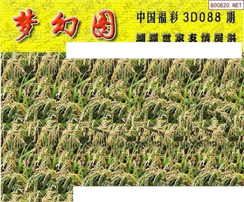 26088期: 3D蝴蝶世家蝴蝶彩图