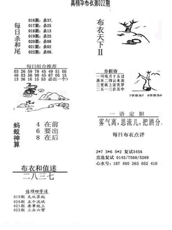 26022期: 福彩3D全套图版参考