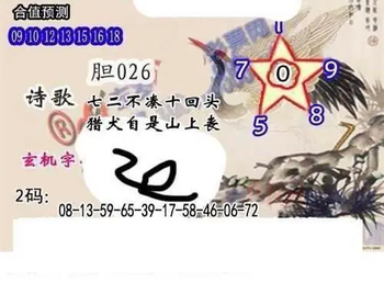 26069期: 白老3D杀码图版