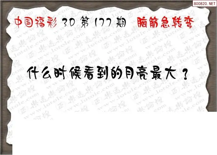 25177期: 3D蝴蝶世家蝴蝶彩图