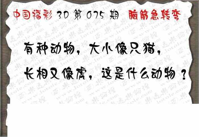 24075期: 3D蝴蝶世家蝴蝶彩图