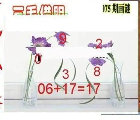 25075期: 三毛3D精品图谜