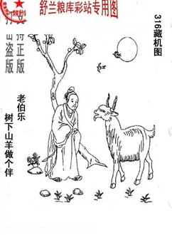 25316期: 老村长福彩3D天天图谜