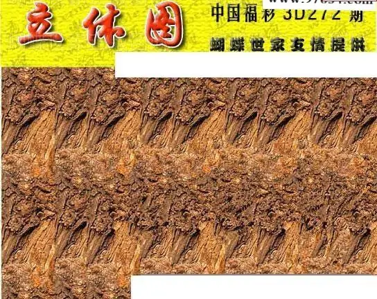 25272期: 3D蝴蝶世家蝴蝶彩图