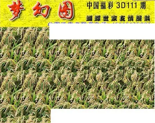 25111期: 3D蝴蝶世家蝴蝶彩图