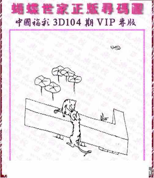 24104期: 3D蝴蝶世家蝴蝶彩图