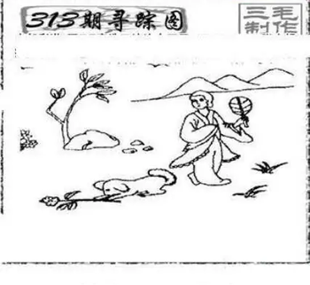 25313期: 三毛3D精品图谜