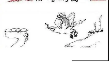 26101期: 三毛3D精品图谜