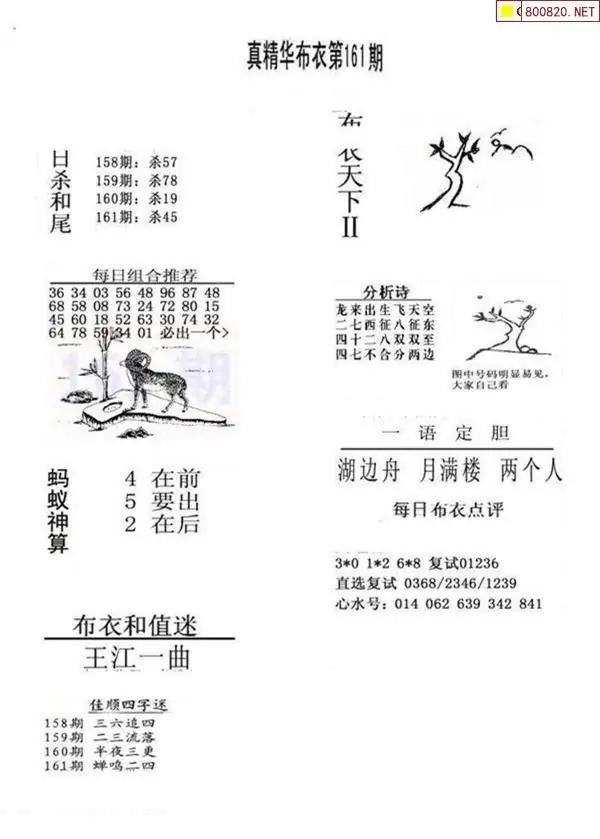 25161期: 福彩3D全套图版参考