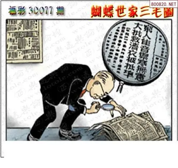 26077期: 3D蝴蝶世家蝴蝶彩图