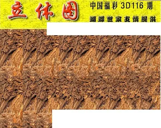 25116期: 3D蝴蝶世家蝴蝶彩图