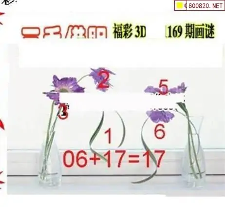 25169期: 三毛3D精品图谜