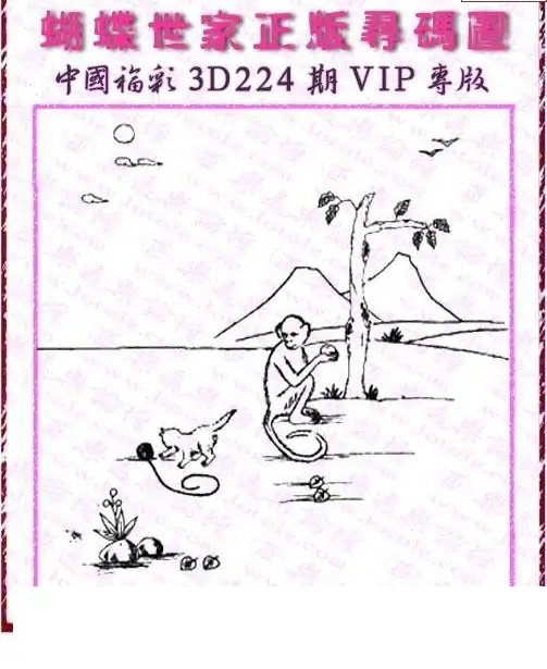 25224期: 3D蝴蝶世家蝴蝶彩图