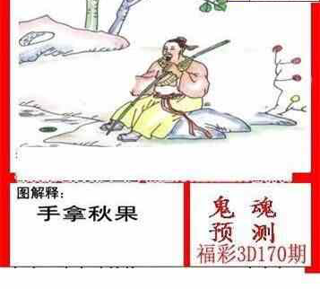 24170期: 白老3D杀码图版