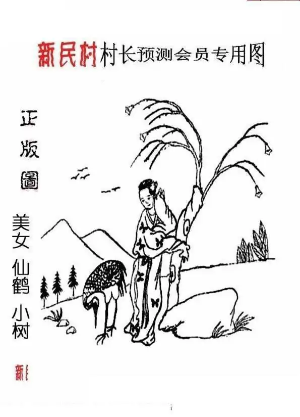 25219期: 老村长福彩3D天天图谜