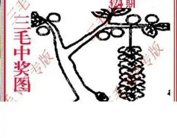 25324期: 三毛3D精品图谜