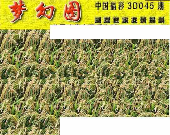 25045期: 3D蝴蝶世家蝴蝶彩图